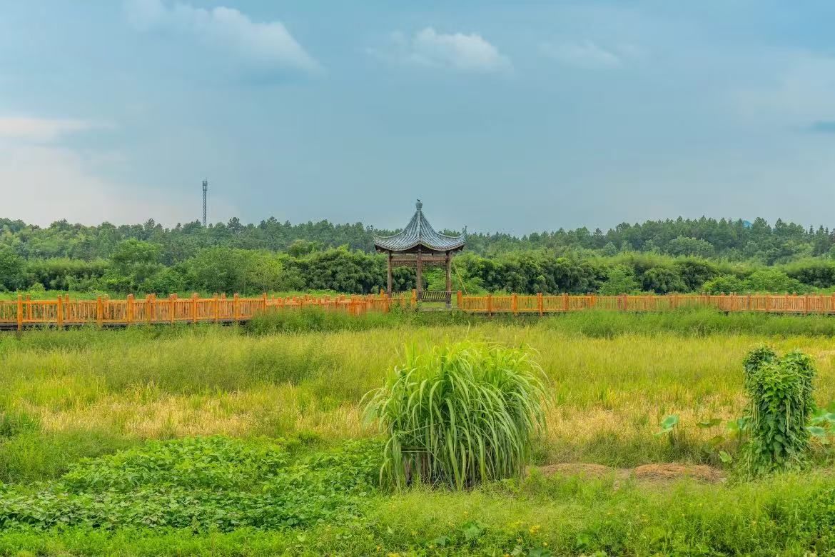Jinxi Zhujiao Ancient Village